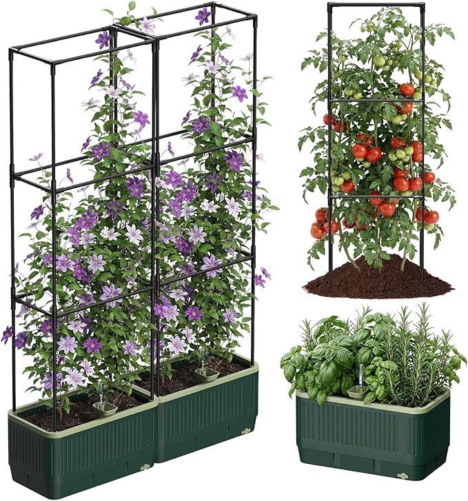 2 Pack Raised Garden Bed Planter Box with Trellis, Self Watering Tomato Planters for Climbing Plants, Tomato Cage Trellis for Vegetables & Vine Flowers Indoor Outdoor Patio
