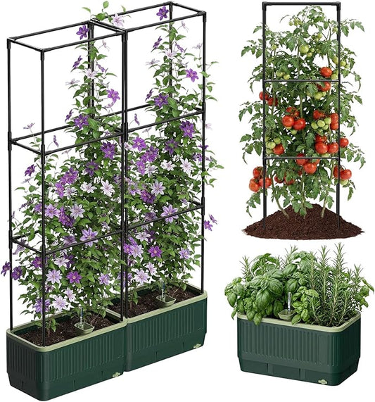2 Pack Raised Garden Bed Planter Box with Trellis, Self Watering Tomato Planters for Climbing Plants, Tomato Cage Trellis for Vegetables & Vine Flowers Indoor Outdoor Patio