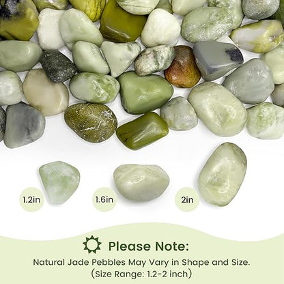SIDONG 10 LB Jade Pebbles, 1.2-2Inch Natural Decorative Polished Jade Stones, Jade River Rocks for Succulents, Cactus, Vases, Indoor Plants, Garden Landscaping, Bamboo