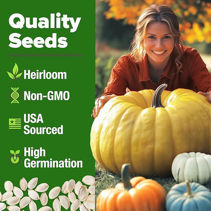 HOME GROWN Non GMO 5 Pumpkin Seeds Mix - 40 Seeds Heirloom Pumpkin for Planting Ideal Garden for Unique Varieties Yellow Paris and Casper, Culinary and Decorative Use