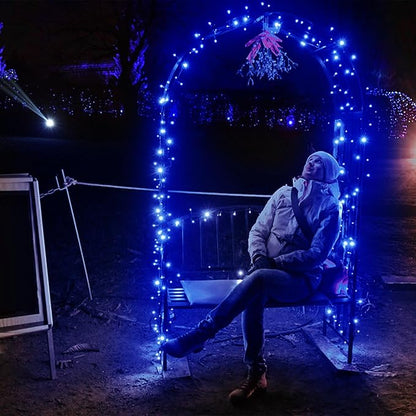 Selarlyt Solar String Lights for Outside, 72Ft 200 LED Solar Fairy Lights with 8 Modes, Solar Powered Fairy Lights Waterproof for Christmas Tree Garden Party Wedding Decor.（Blue）