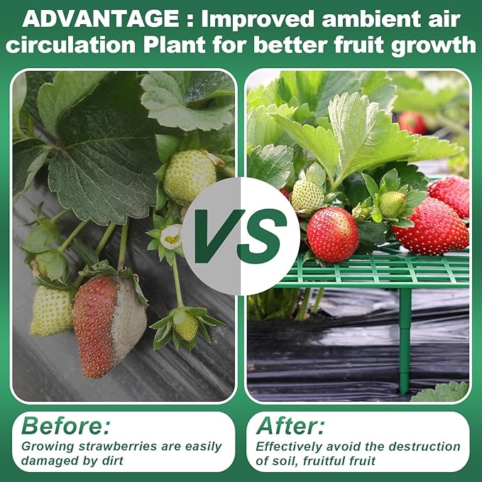5 Pack Strawberry Plant Support Square Strawberry Supports for Garden Green Holder Plastic Stand with 4 Sturdy Legs Risers Growing Racks Frame