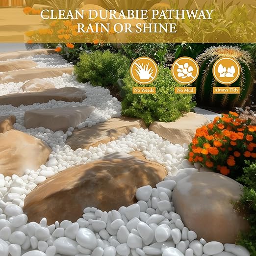4lb White River Rocks for Plants, 1-3 Inch Pebbles for Indoor Plants, Polished Garden Rocks Outdoor Landscaping, Decorative Stones for Vases, Succulents, Aquarium, Walkways