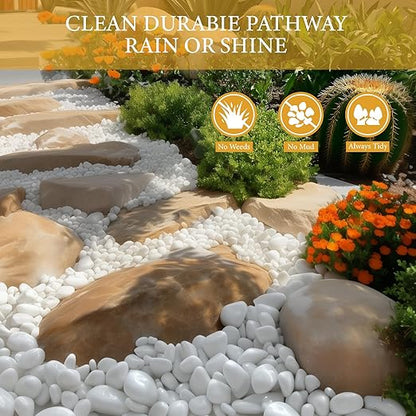 4lb White River Rocks for Plants, 1-3 Inch Pebbles for Indoor Plants, Polished Garden Rocks Outdoor Landscaping, Decorative Stones for Vases, Succulents, Aquarium, Walkways
