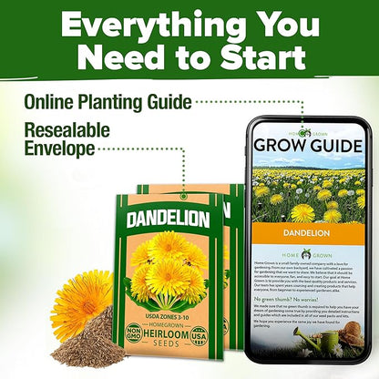 HOME GROWN Dandelion Seeds for Planting – 1200 Heirloom Medicinal Herb Seeds Grow Edible Leaves and Flowers for Remedies or Wildlife (Taraxacum officinale)