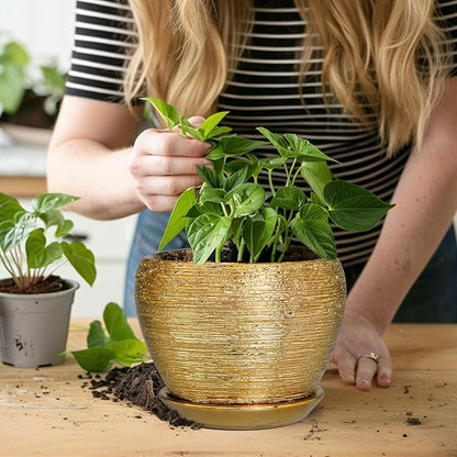 Indoor Plant Pot 6 Inch - Ceramic Pot for Plants Outdoor Planter with Drainage Hole and Saucer Round Decorative Planter Modern Flower Pot for Home Decor Gold
