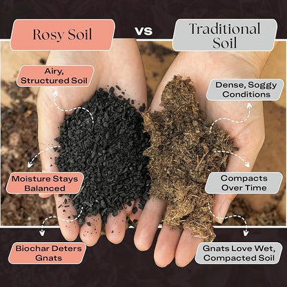 Rosy Soil Cactus & Succulent Potting Mix, 4qt, Pack of 2 | Organic Succulent Potting Soil, Chunky Fast Draining, Peat-Free, Root Boosting Mix, For AloeVera, Cacti, Indoor Succulents