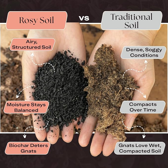 Rosy Soil Cactus & Succulent Potting Mix, 4qt | Organic Succulent Potting Soil, Chunky Fast Draining, Peat-Free, Root Boosting Mix, for AloeVera, Cacti, Indoor Succulents