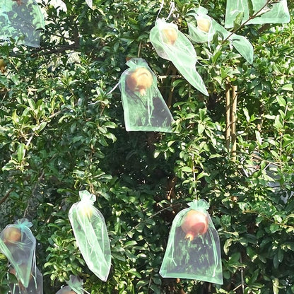 MIXC 100 Pack Fruit Protection Bags, 8" x 12" Mesh Drawstring Covers for Fruit Trees, Garden Plants, Flowers, Pest Barrier Netting Bags