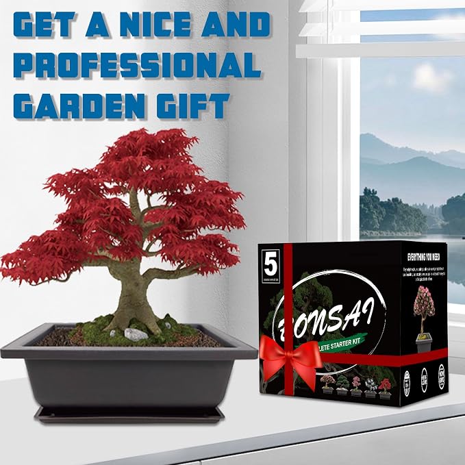 Bonsai Starter Kit, 5 Seeds Growing into Acacia, Wisteria, Sakura, Red Maple and Black Pine, Including Complete Gardening Tools with A Gift Box for Men Women Beginners