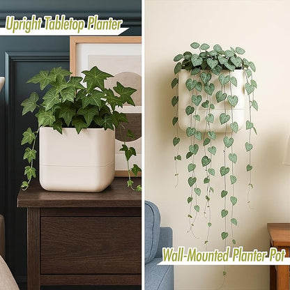Phoenix Vine 6.5 Inch Wall Mounted Self-Watering Planter Pots for Indoor Houseplants and Herbs | Hanging Planter for Window Sills, Bathroom Walls, Home & Office Décor, Oatmeal, Set of 3, 01-C-G-3