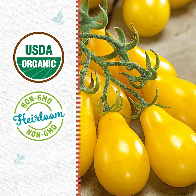 Back to the Roots 100% Organic Seed Packet - Tomato 'Yellow Pear' 100mg