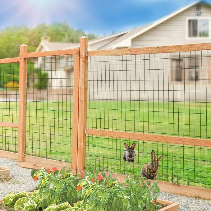 Green PVC Coated Welded Wire Fence 56 Inch x 50 Foot, 2 Inch x 4 Inch 14GA, Garden Border Fencing Roll Vinyl Coating Metal Wire Mesh Hardware Cloth for Yard Vegetable Plant Protection