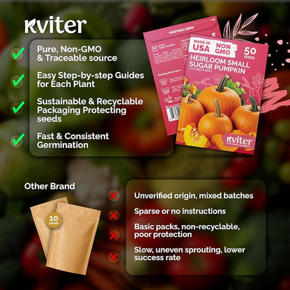 KVITER 50 Sugar Pumpkin Seeds (Cucurbita Pepo) – Small Pumpkin Heirloom Seed, Sweet Fine-Grained Flesh for Canning & Pies – Vegetable Seeds for Planting in Outdoor Garden