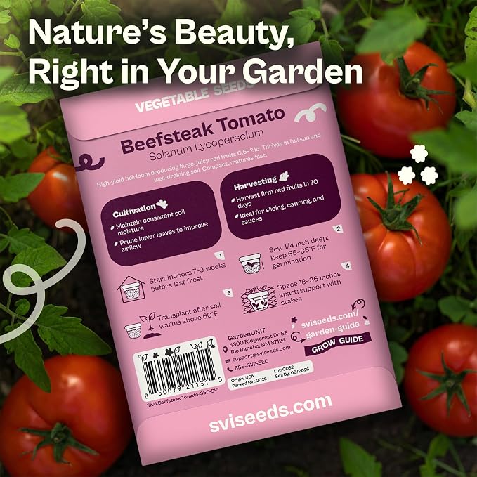 SVI 350 Beefsteak Tomato Seeds (Solanum Lycoperscium) - Determinate Beefsteak Tomatoes, Fleshy Tomato Heirloom Seed Packets - Annual Vegetable Seeds for Outdoor Garden, Raised Beds, Containers