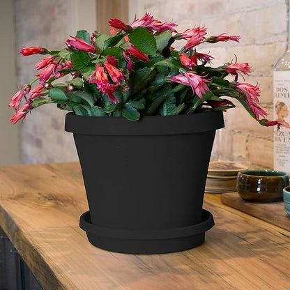 Bloem Terra Resin Saucer Tray: 6.5" Bottom Width - Black - Matte, Durable, Ribbed Bottom, Indoor and Outdoor, Fits 8" Terra Pots