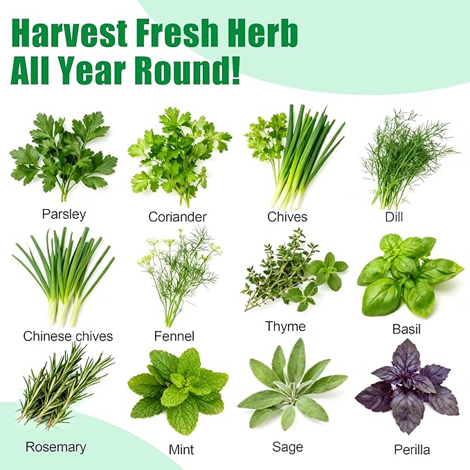 Gourmet Herb Seed Pod Kit - 12-Pod Set with Parsley, Thyme, Mint, Cilantro, Dill, and Oregano - Universal Compatibility with All Hydroponic Systems