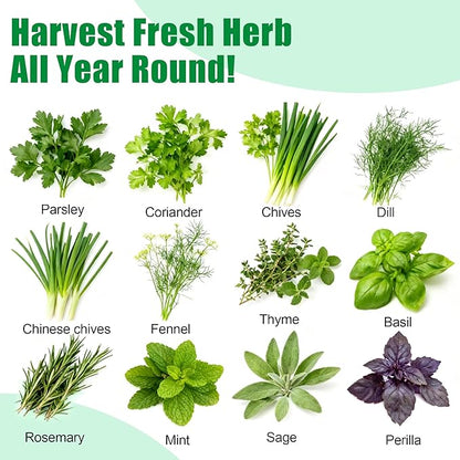 Gourmet Herb Seed Pod Kit - 12-Pod Set with Parsley, Thyme, Mint, Cilantro, Dill, and Oregano - Universal Compatibility with All Hydroponic Systems