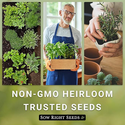 Sow Right Seeds - Flat Leaf Parsley Seed for Planting - Non-GMO Heirloom Packet with Instructions to Plant and Grow a Kitchen Herb Garden - Indoor or Outdoor - Great for Hydroponics Growing (4)