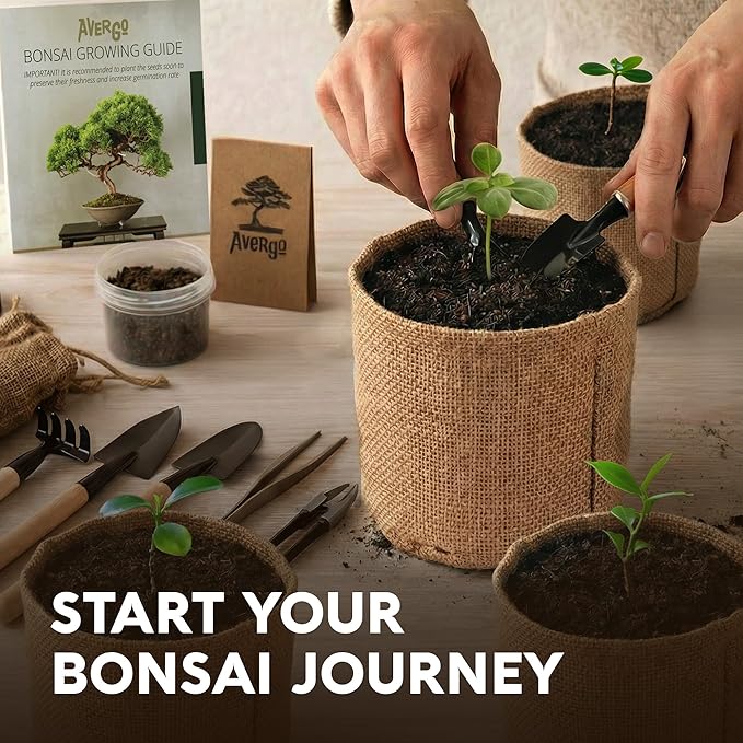 Bonsai Tree Kit for Beginners – 5X Unique Japanese Bonzai Trees | Complete Indoor Bonsai Starter Kit for Growing Bonsai Plants with Tools & Planters – DIY Gardening Gifts for Women & Men