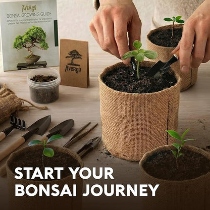 Bonsai Tree Kit for Beginners – 5X Unique Japanese Bonzai Trees | Complete Indoor Bonsai Starter Kit for Growing Bonsai Plants with Tools & Planters – DIY Gardening Gifts for Women & Men