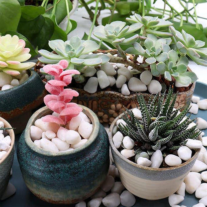 White Rocks for Plants & Garden. Decorative Polished Pebbles. 3/8 Inch 2lbs for Succulents, Vases & Pots (XSM (0.375 Inch), White - Lightly Polished, 2)