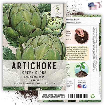 Seed Needs Green Globe Artichoke Seeds to Plant Heirloom & Non-GMO 1 Pack