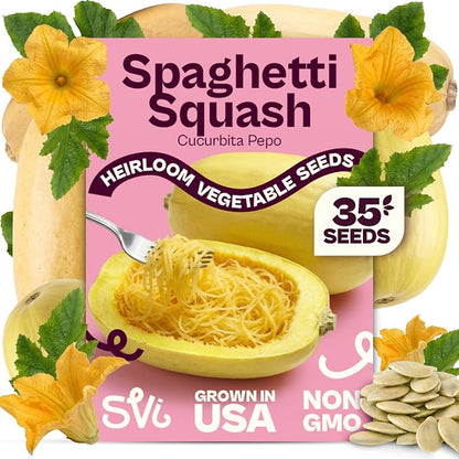 SVI 35 Winter Spaghetti Squash Seeds (Cucurbita Pepo) – Yellow Winter Squash Spaghetti Seed Packets, Long Storage – Heirloom Vegetable Seeds for Outdoor Vegetable Garden, Raised Beds, Peat Pots