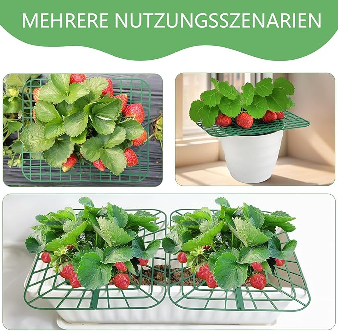 ANGTUO 10 Pack Strawberry Plant Support, Strawberry Support Growing Racks for Keeping Garden(5 Square+5 Round)