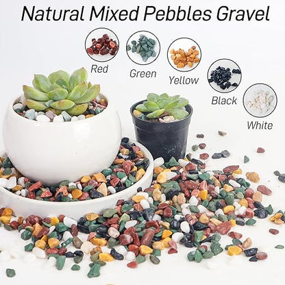 CJGQ 7lb Aquarium Gravel for Plants, 1/4Inch Fish Tank Gravel for Succulent Cactus and Bonsai, Decorative River Rocks Pebbles for Gardening, Flower Pots, Landscaping,Terrarium
