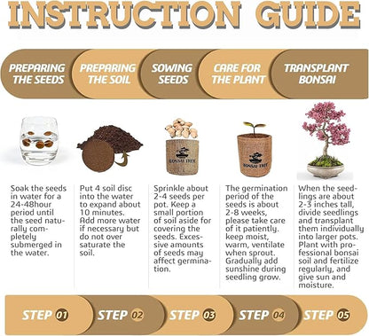 Indoor Bonsai Garden Starter Kit, 5 Seeds Growing into Red Maple, Wisteria, Black Pine, Judas Tree, Acacia, Including Complete Gardening Planters & A Planter Box for Women