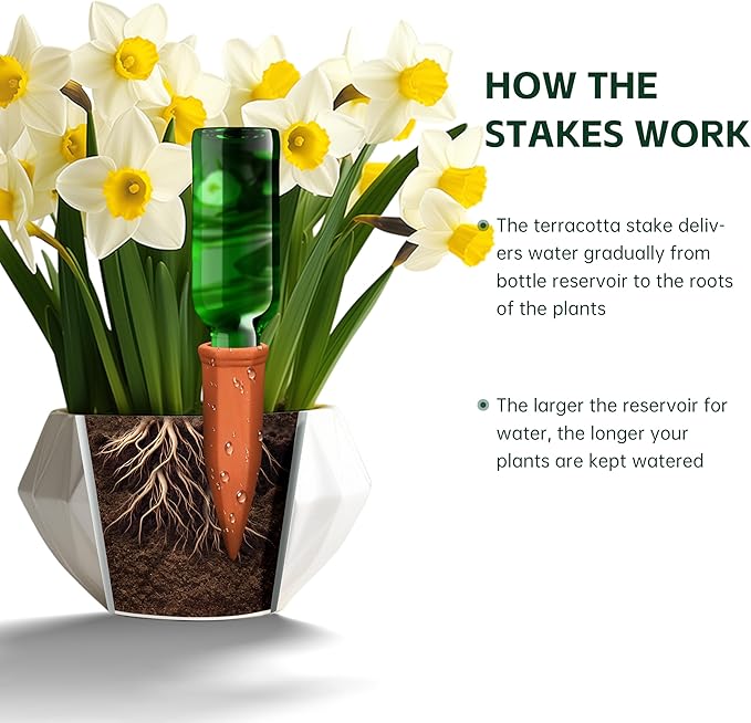 Soilagua Large Terracotta Plant Watering Spikes, Automatic Plant Waterer Outdoor | Indoor Use, Vacation Clay Watering Devices System, Slow Release Self Watering Planter Insert, 6 Pack