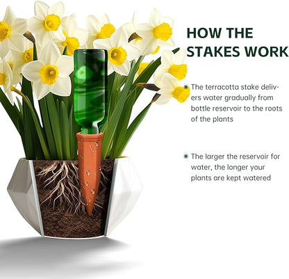 Soilagua Large Terracotta Plant Watering Spikes, Automatic Plant Waterer Outdoor | Indoor Use, Vacation Clay Watering Devices System, Slow Release Self Watering Planter Insert, 6 Pack
