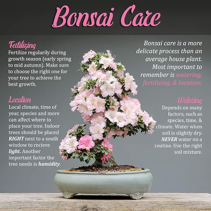 BambooMN Bonsai Tool Kit 5pc Basic Care Set - 1 Set