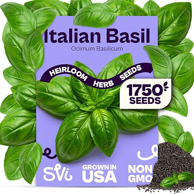 SVI 1750 Italian Basil Seeds (Ocimum basilicum) – Large Leaf Sweet Genovese Basil Seed Packets –Non GMO Italian Herbs, Heirloom Herb Seeds for Outdoor & Indoor Herb Garden, Containers