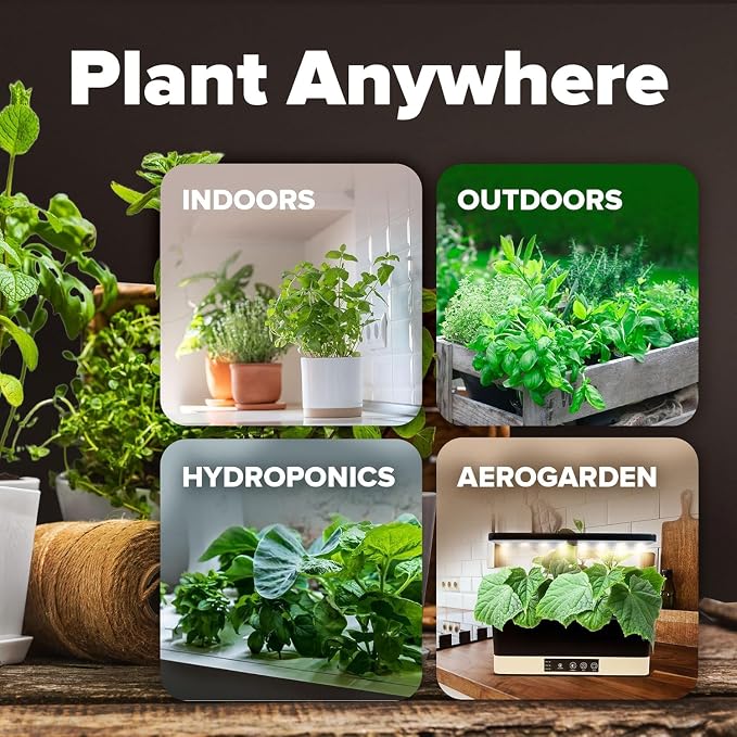 HOME GROWN 10 Variety Survival Seed Vault 5,700+ USA Grown Heirloom Non-GMO Vegetable Seeds for Planting, High Germination, Garden Starter Kit, Emergency Food Supply, Indoor Outdoor