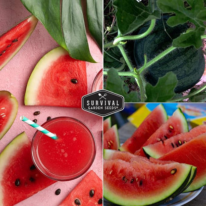 Sugar Baby Watermelon Seeds - Grow Little Round Icebox Watermelons at Home - Non-GMO Heirloom Variety for Planting - Survival Garden Seeds (5 Pack)