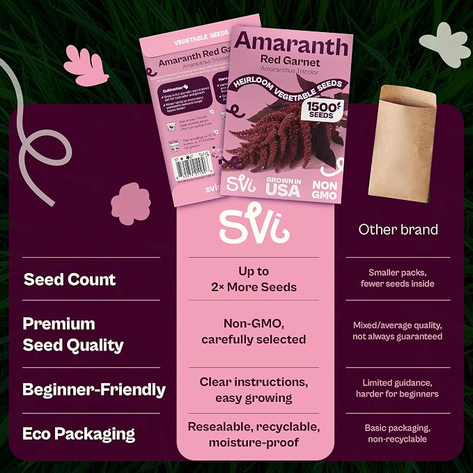 SVI 1500 Red Garnet Amaranth Seeds (Amaranthus Tricolor) – Josephs Coat Plant Seed Packets Bulk, Deep Red Amaranthus Flower – Heirloom Vegetable Seeds for Outdoor Garden, Vegetable Garden, Containers