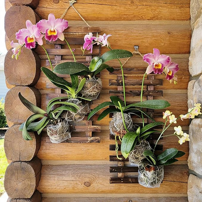 2 Pcs Wall Planters - 11.4"W x 23.62"H Wooden Wall Planters for Indoor Outdoor Plants,Hanging Wood Wall Trellis,Wall Mounted Plant Holder for Orchids,Succulent,Air Plants,Hanging Pots Display