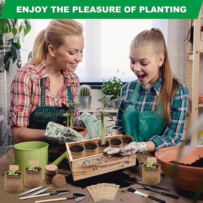 Bonsai Tree Starter Kit, Indoor Bonsai Tree Kit Meeting Planting and Caring Needs Curated Design for A Complete Gardening Experience for Enthusiasts-no Seeds Included