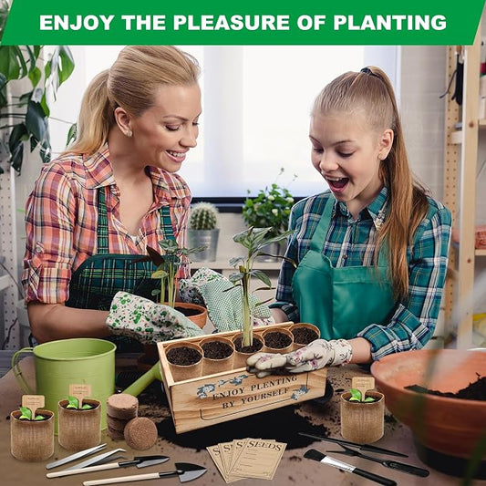 Bonsai Tree Starter Kit, Indoor Bonsai Tree Kit Meeting Planting and Caring Needs Curated Design for A Complete Gardening Experience for Enthusiasts-no Seeds Included