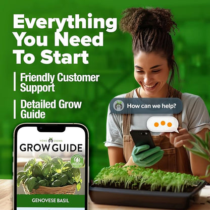 HOME GROWN Non GMO Genovese Basil Seeds Pack 1,750+ High Germination Heirloom Seeds (Ocimum basilicum) Herb Seeds for Planting Indoor & Outdoor Gardening, for Culinary Use