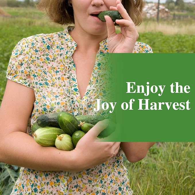 Groundio Cucumber Seeds - 50 Heirloom Non-GMO Seeds for Planting Outdoors in Trellises, Raised Beds, Space Gardens - Pickling and Slicing Straight Eight Cucumbers