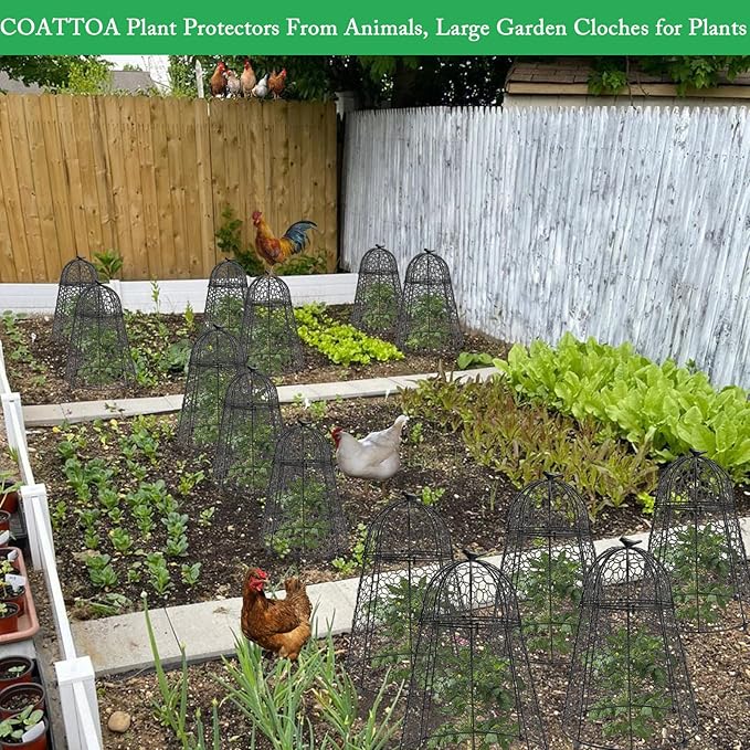 COATTOA Plant Protector Chicken Wire Cloche 8 PCS, Plant Protectors from Animals, 18.7×12 Inch Large Garden Cloches for Plants, Sturdy 2-in-1 Cloche Dome for Plants, Plant Protectors for Easy Pruning