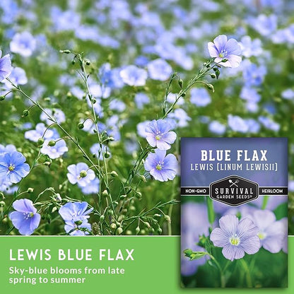 Lewis Blue Flax Seeds for Planting - Plant & Grow Drought Tolerant Native Perennial Wildflowers Your Home Garden - Non-GMO Heirloom Variety - Survival Garden Seeds (1 Pack)