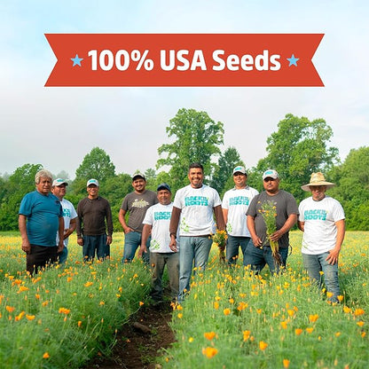 Back to The Roots 100% Organic Heirloom Seeds - Snow Pea Value Pack (16.8g Total)