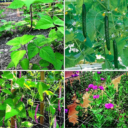 White Trellis Netting 5x100 ft Heavy Duty Garden Trellis Netting Polypropylene Plant Support Garden Net for Climbing Vegetables Fruits Flowers