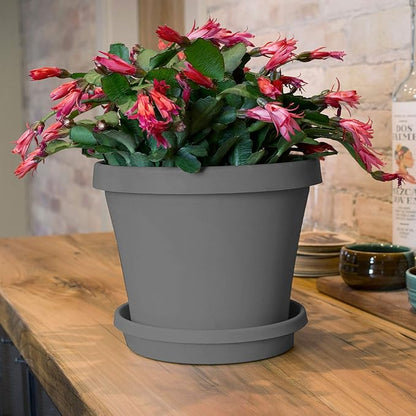 Bloem Terra Resin Saucer Tray: 8" Bottom Width - Charcoal Gray - Matte, Durable, Ribbed Bottom, Indoor and Outdoor, Fits 10" Terra Planters