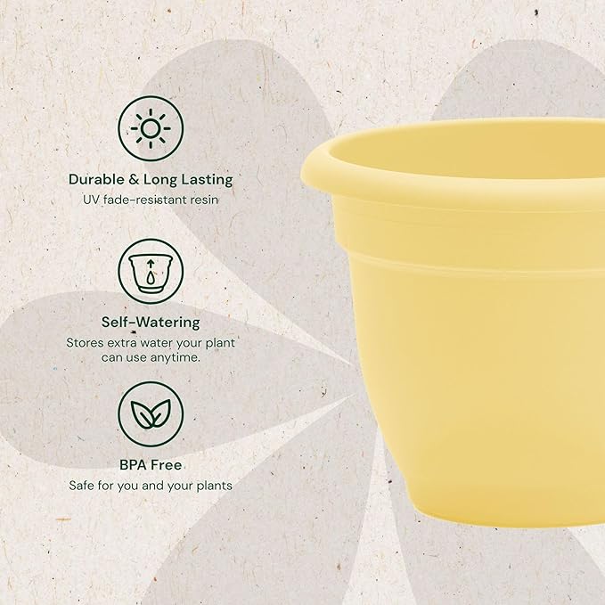 Bloem Ariana 12" Daffodil Round Self-Watering Resin Planter Pot - Rolled Rim Indoor and Outdoor Gardening Planter