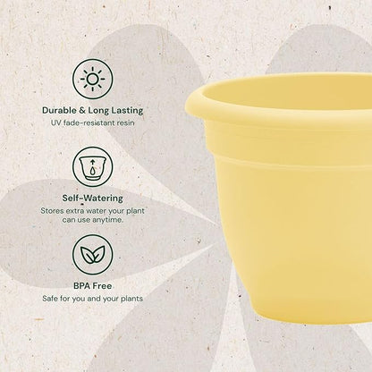 Bloem Ariana 12" Daffodil Round Self-Watering Resin Planter Pot - Rolled Rim Indoor and Outdoor Gardening Planter